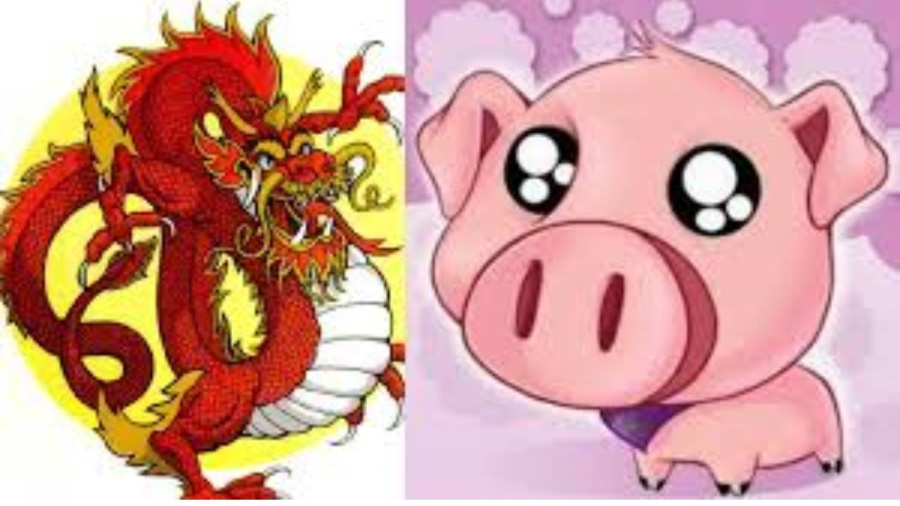 tuoi-hoi