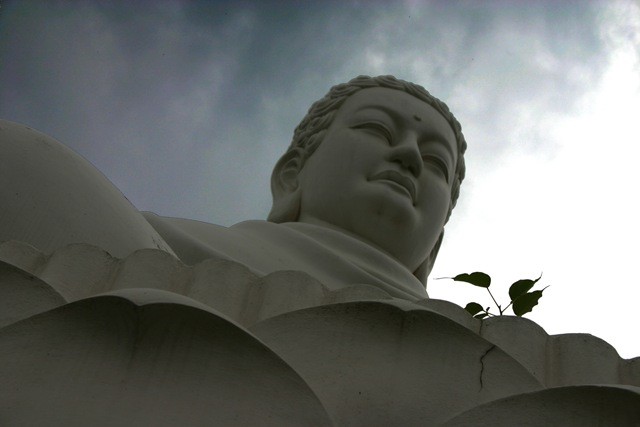 duc-vong-lon