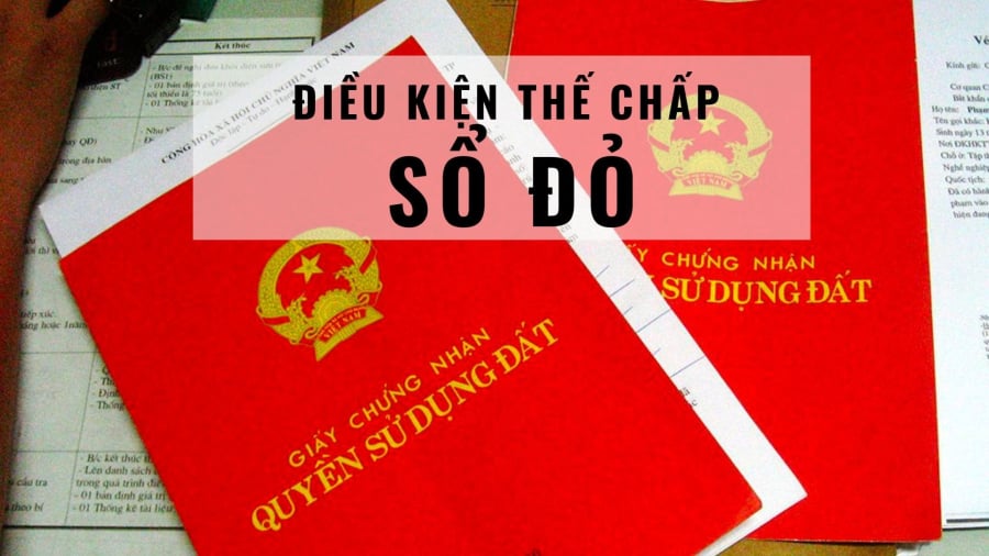the-chap-so-do-2