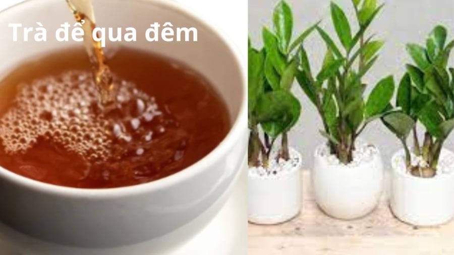 nuoc-tra-tuoi-cay