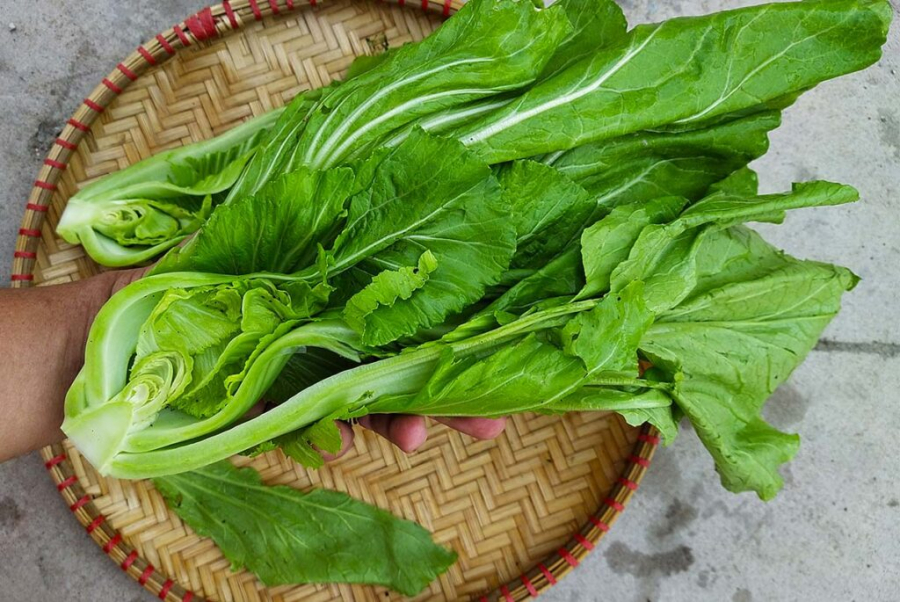 rau-cai-2