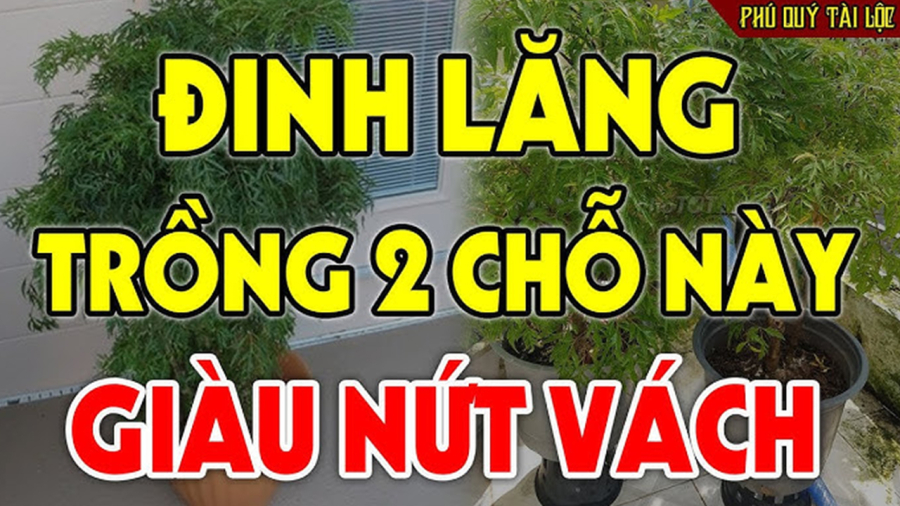 dinh-lang