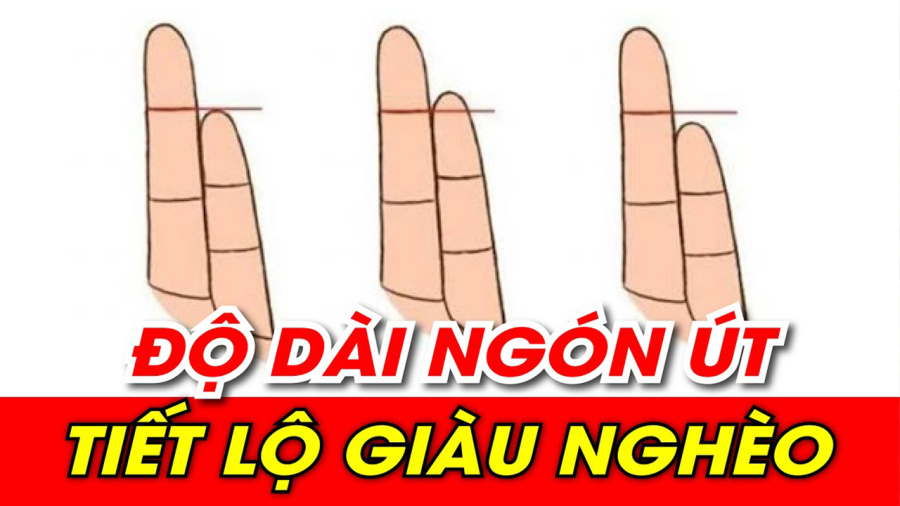 ngon-ut