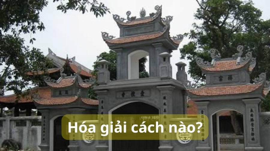 hoa-giai-nha-gan-den-chua