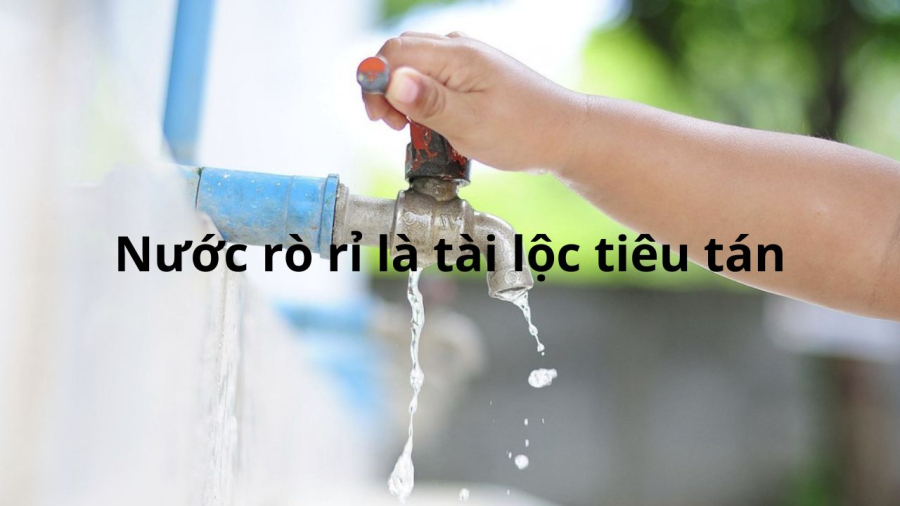 voi-nuoc-ro-ri