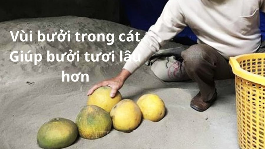 bao-quan-buoi-bang-cat-kho