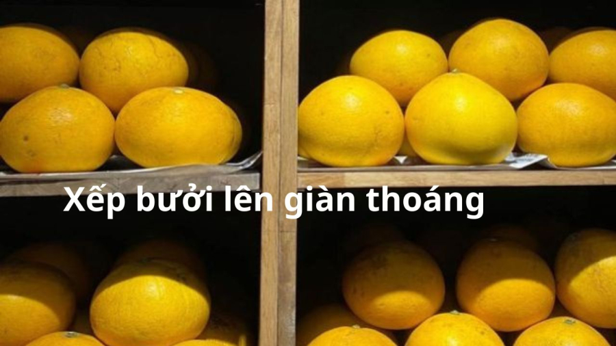 dat-buoi-len-gian-thoang-khi