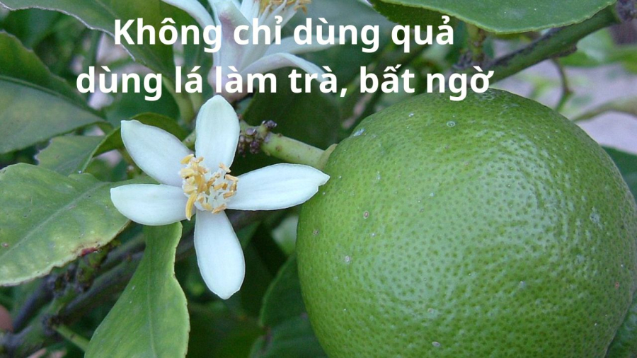 nuoc-la-chanh