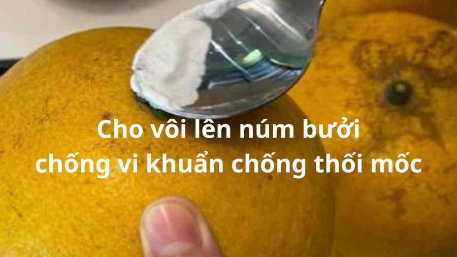 quet-voi-len-buoi
