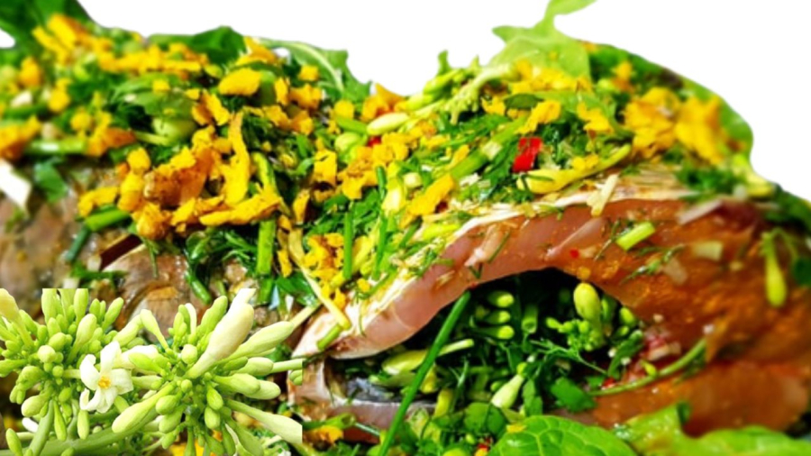 ca-hap-hoa-du-du-duc