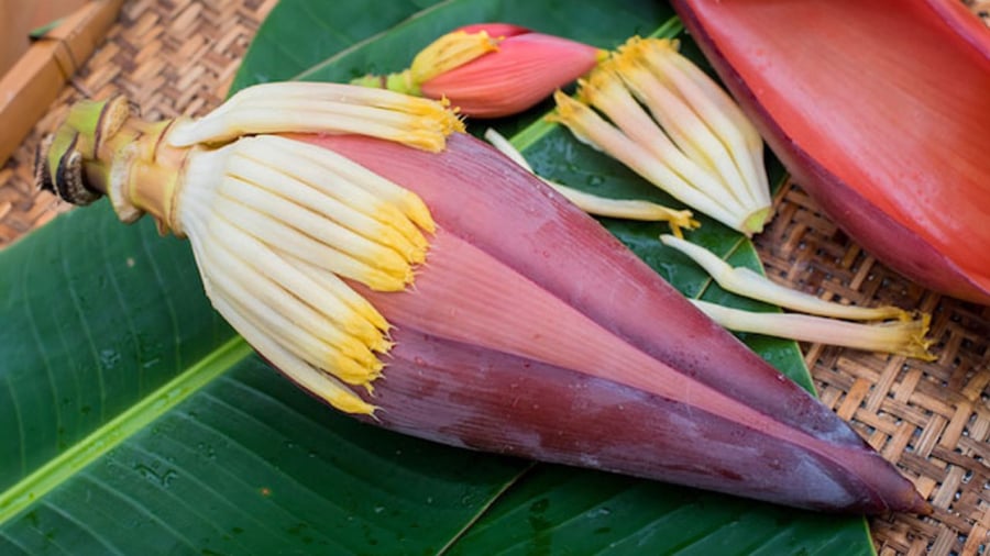 hoa-chuoi-cong-dung