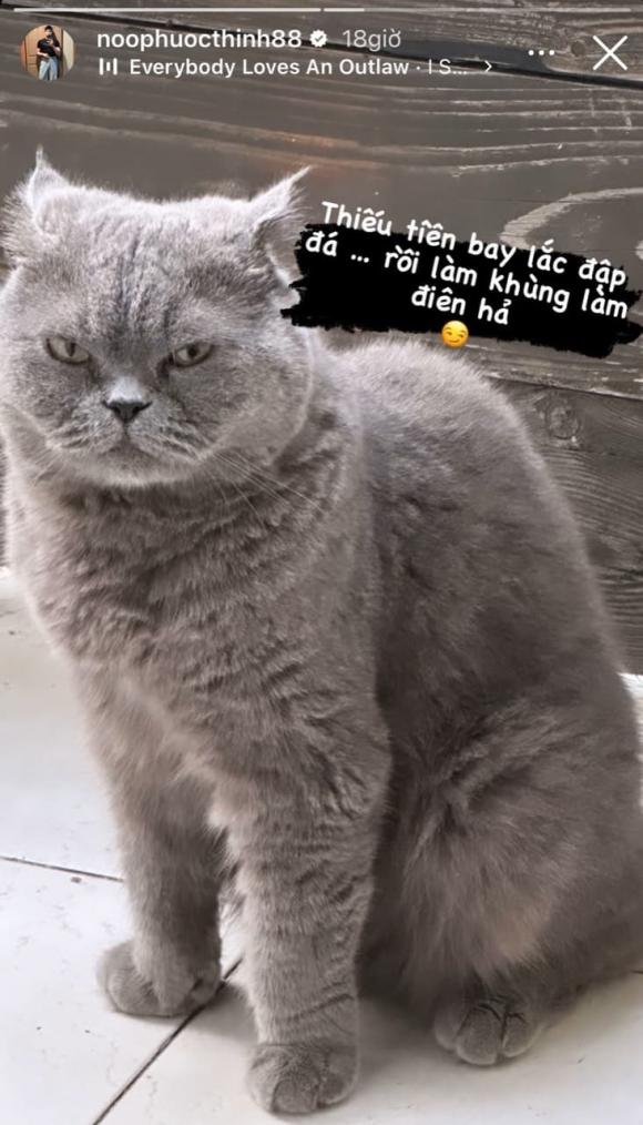 Noo_phuoc_thinh1