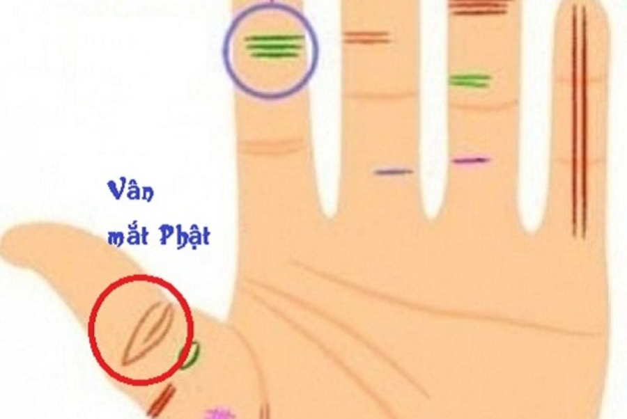 mieng-hum-mat-phu-tu-tien-tai-nhu-nuoc-4
