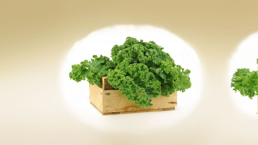 la-cai-kale