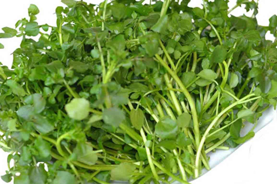 rau-cai-xoong-2