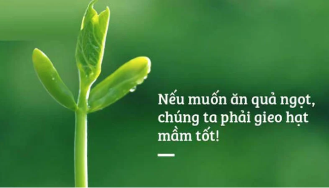 cach-xem-van-menh