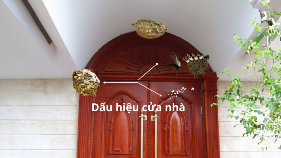 cua-nha-co-dau-hieu