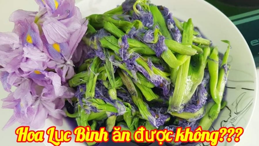 rau luc binh