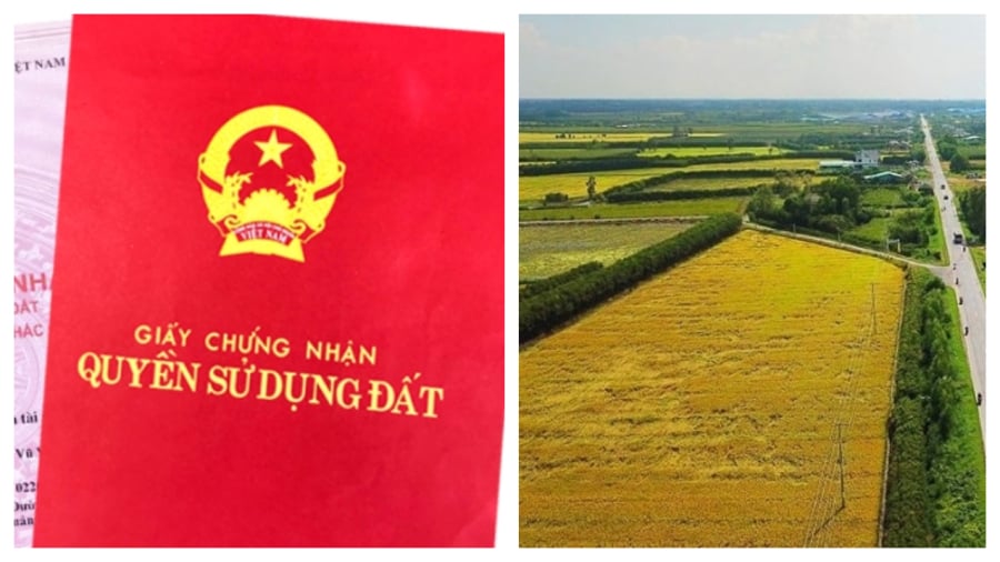 Những trường hợp đất không được cấp Link nhập code shbet https freecode shbet pages dev
