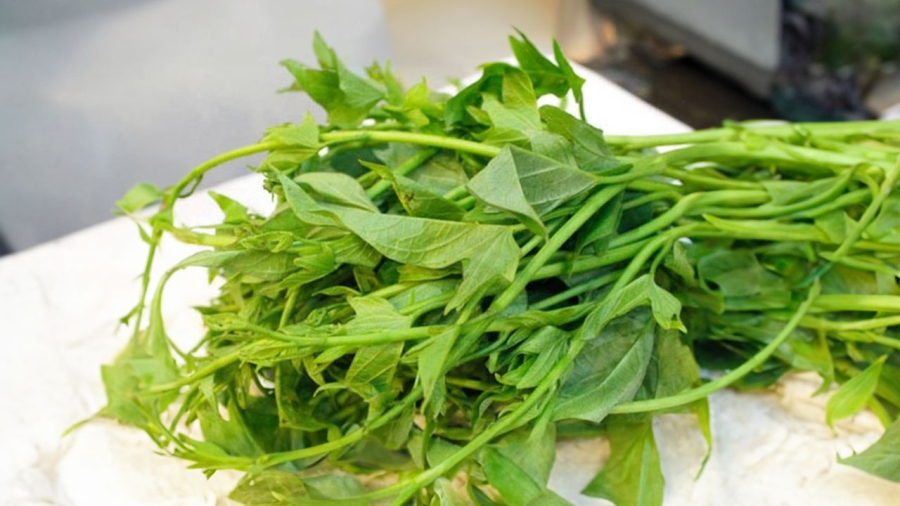 rau-khoai-lang