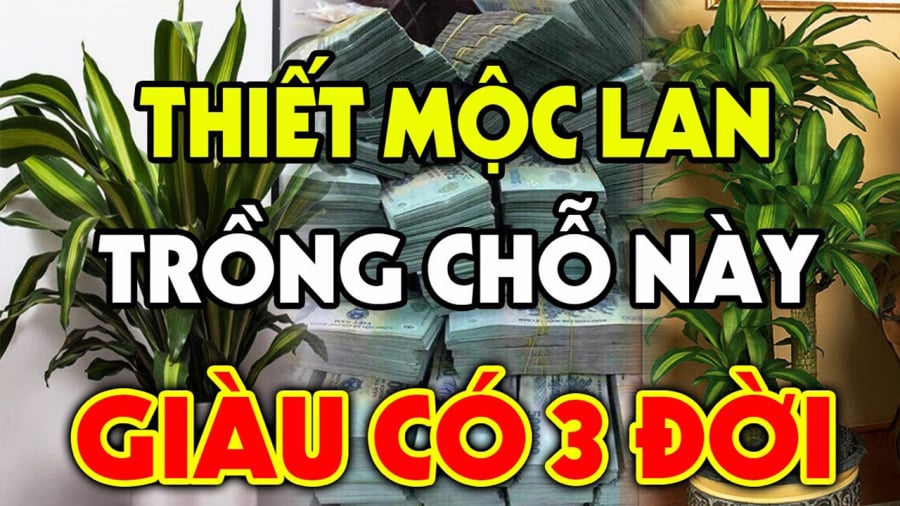 thiet-moc-lan5