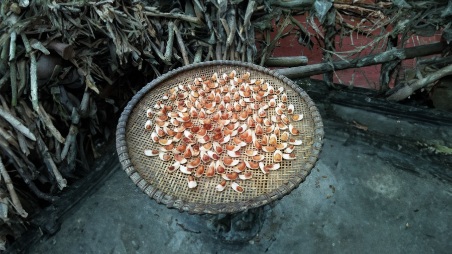 cau-kho