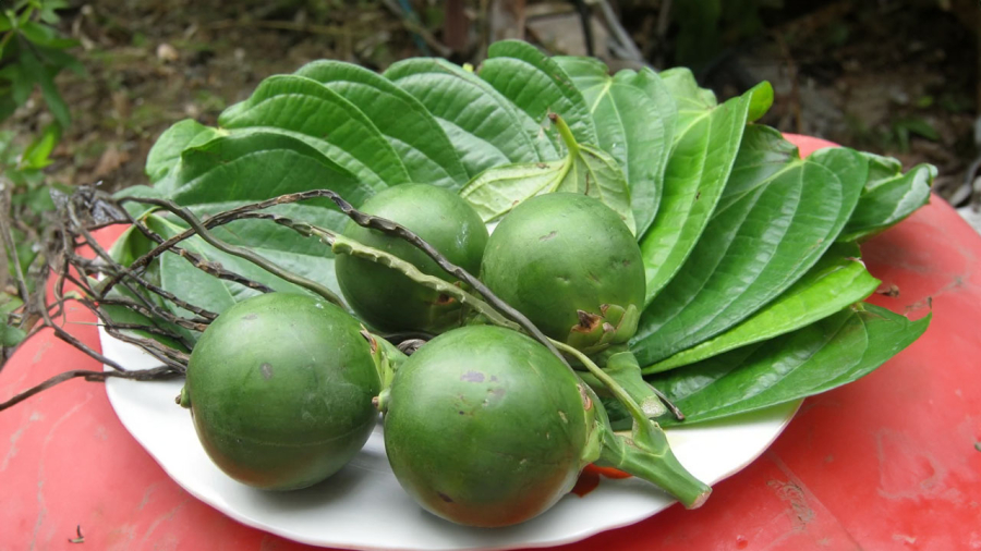 trau-cau-thap-huong