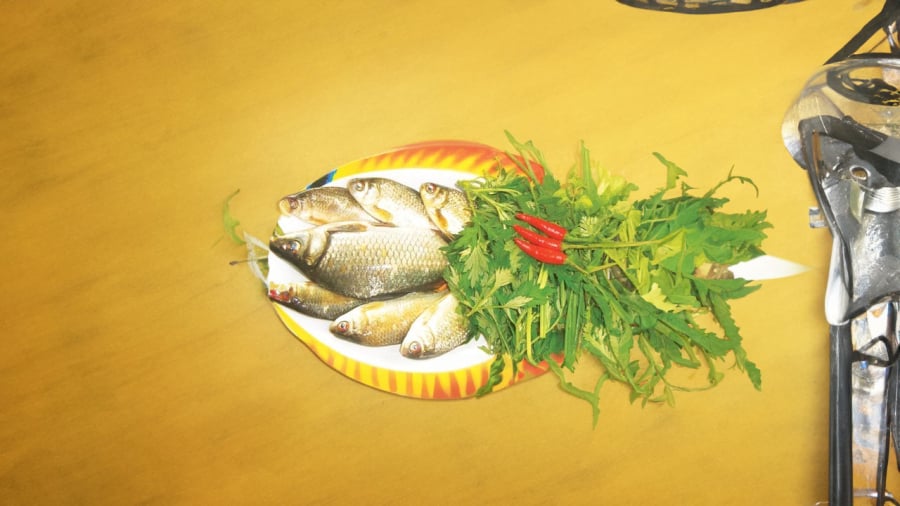 canh-ca-diec-ngai-cuu