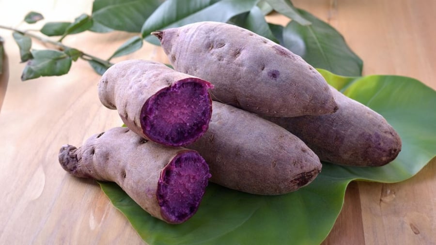 khoai-lang-tim