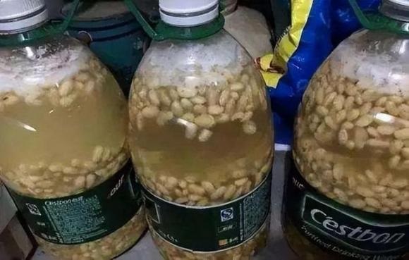 nuoc-tuoi-cay
