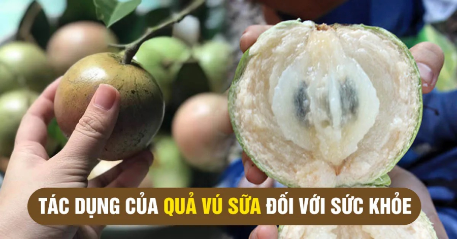 an-qua-vu-sau