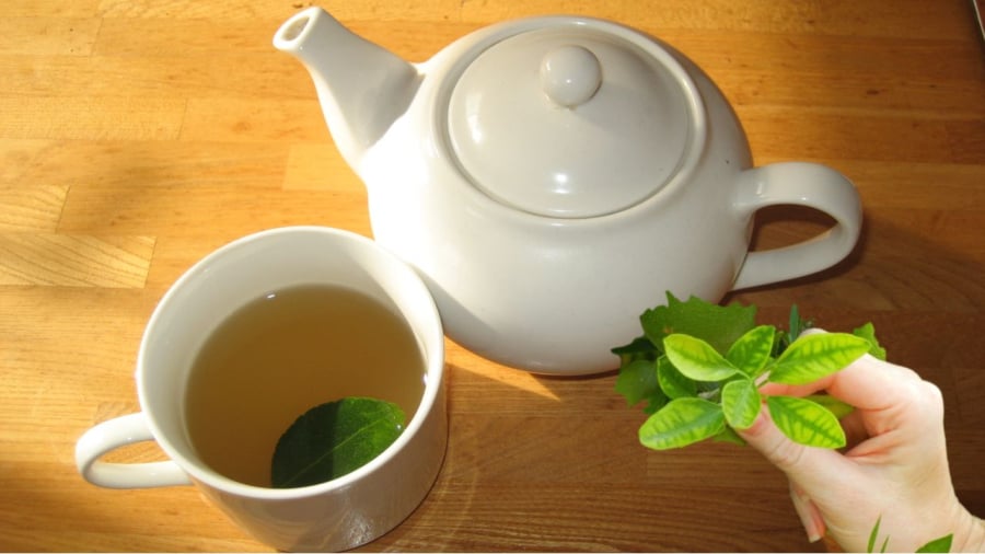la-chanh-pha-nuoc-uong