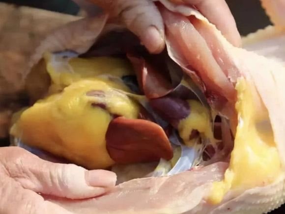 Mỡ gà có tác dụng bổ sung dinh dưỡng, nâng cao thể lực, làm đẹp da mặt, bổ tỳ vị và rất tốt cho Sh88bet đăng ký miễn phí.