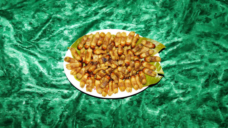 sung-dat-rang