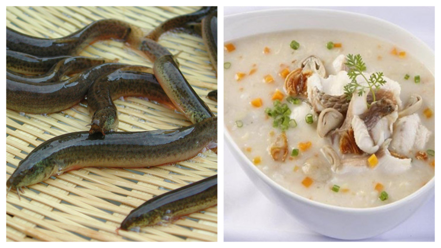 loai ca menh danh sam nuoc