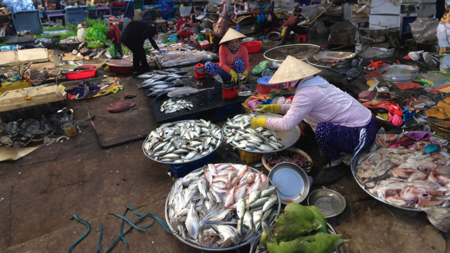 cho-ca-loai-ca-ban-nhat-cho