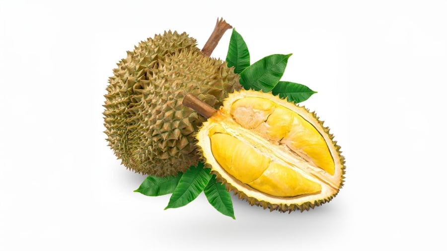 sau-rieng-duoi-chuot