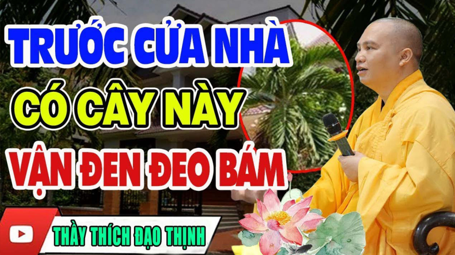 cay-coi
