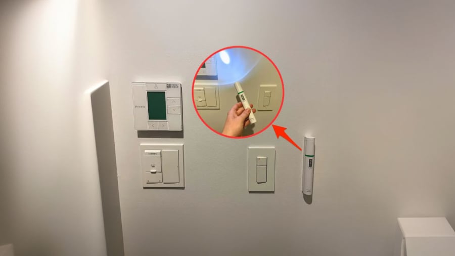 den-pin