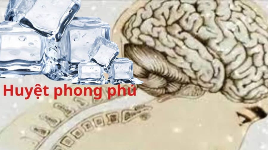 huyt-phong-phu-tri-mat-ngu