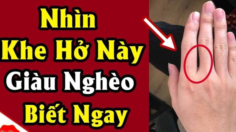 ngon-tay