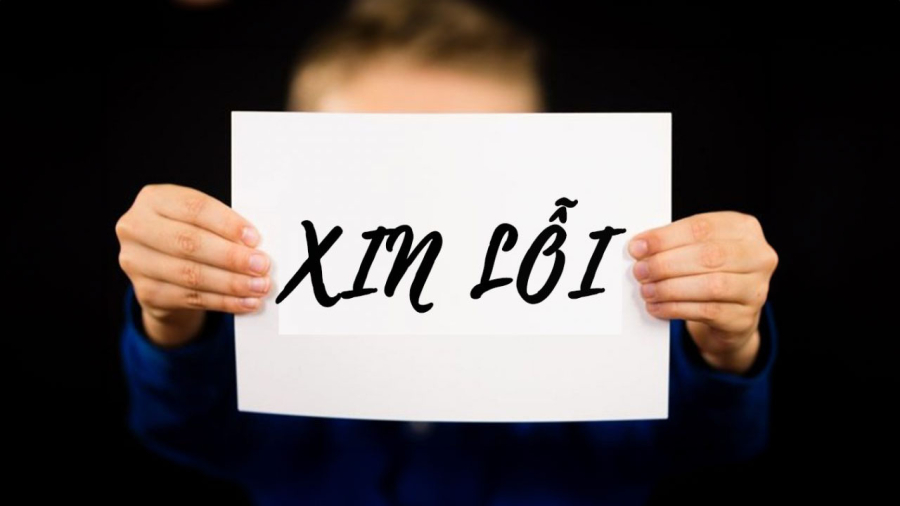 xin-loi-con