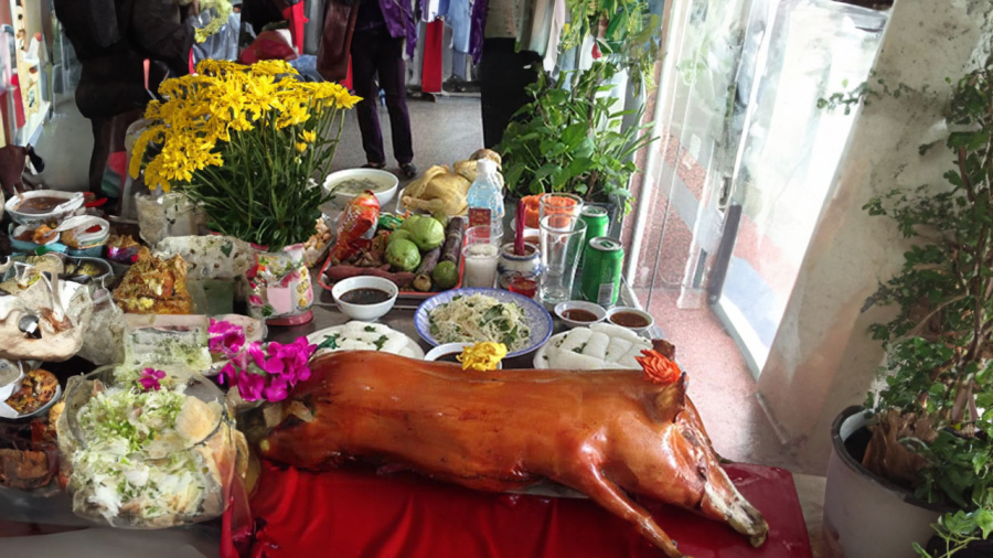 mam-cung-lon