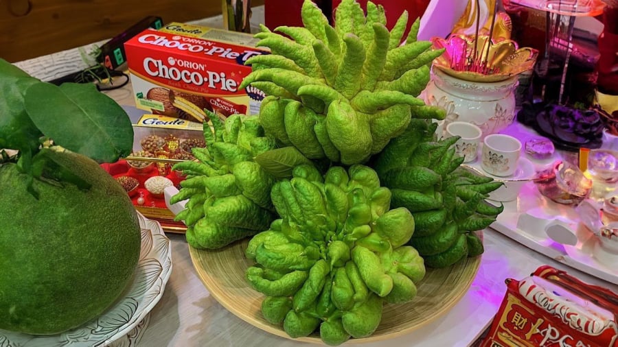 qua-phat-thu-phong-thuy