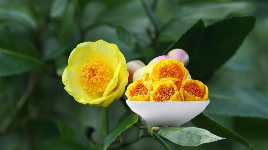 tra-hoa-vang-may-in-tien