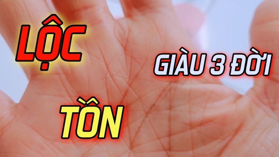 xem-duong-chi-tay
