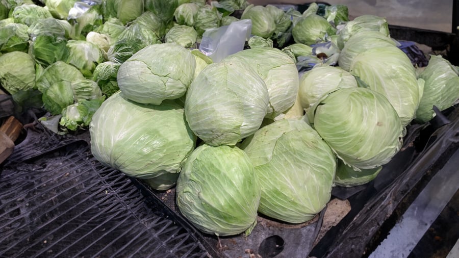 cach-chon-bap-cai-01