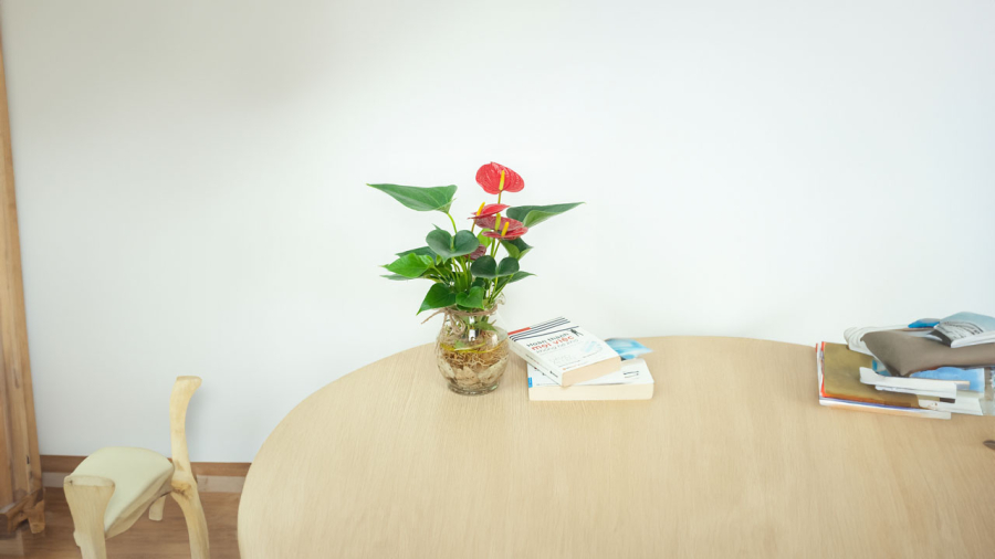 cay-hong-mon0thuy-sinh