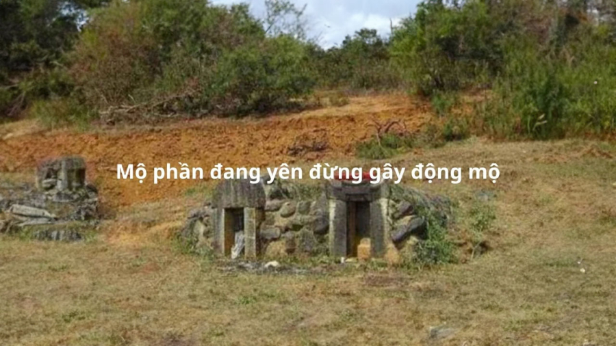 khong-doi-mo