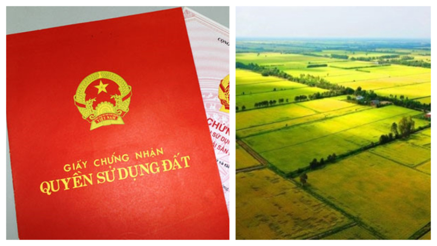 tu ngay tro di 5 truong hop nay khong duoc cap so do